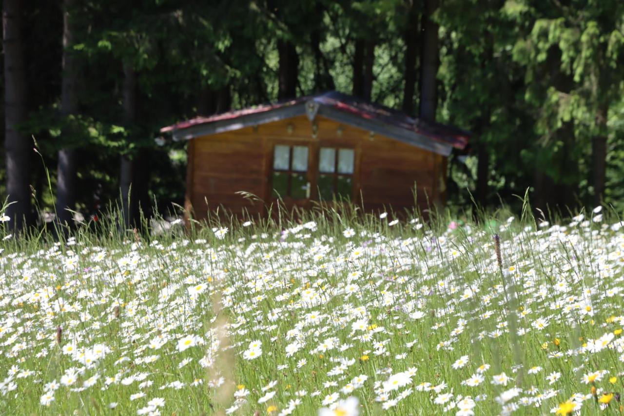 Apartment Am Nationalpark Bayerwald Lindberg Eksteriør bilde